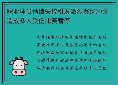 职业球员情绪失控引发激烈赛场冲突造成多人受伤比赛暂停