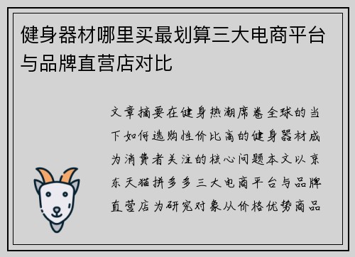 健身器材哪里买最划算三大电商平台与品牌直营店对比