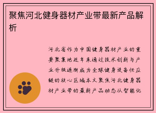 聚焦河北健身器材产业带最新产品解析