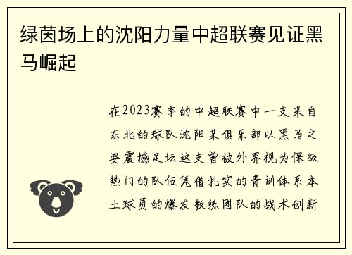 绿茵场上的沈阳力量中超联赛见证黑马崛起